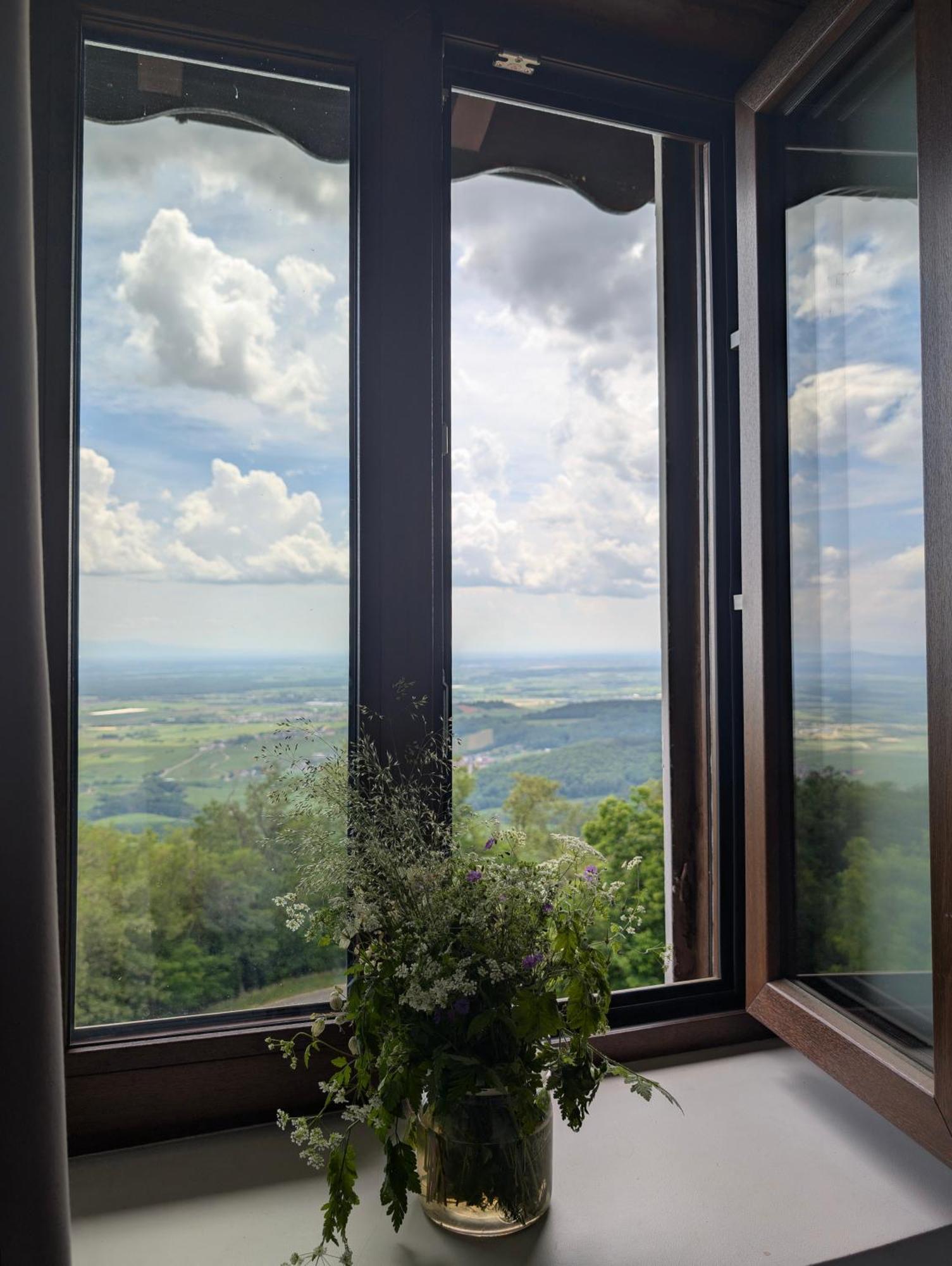 Domaine Du Haut-Koenigsbourg オルシュヴィラー エクステリア 写真